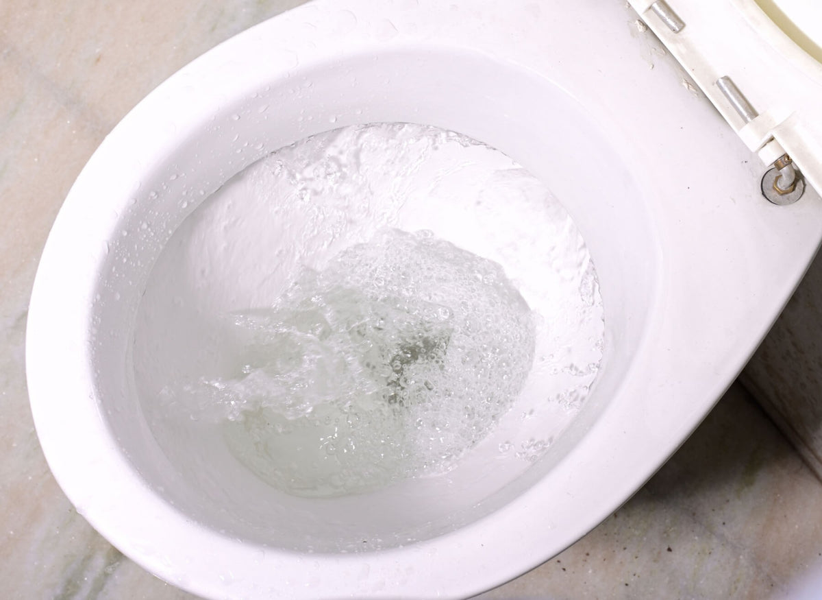 Clean toilet bowl